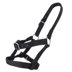 Nylon Horse and Cow Adjustable