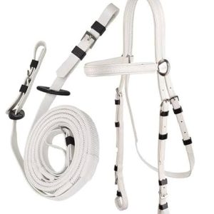 Biothane Bridle for Horses with reins