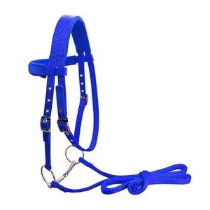 International Blue Horse Bridle