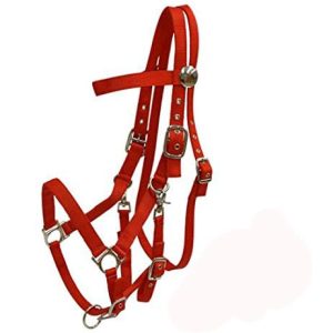 Premium Nylon Horse Halter Bridle